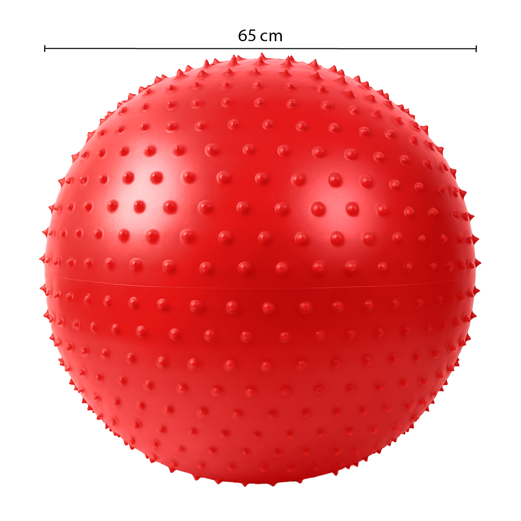 CR-603 BALON PILATES CON PUAS