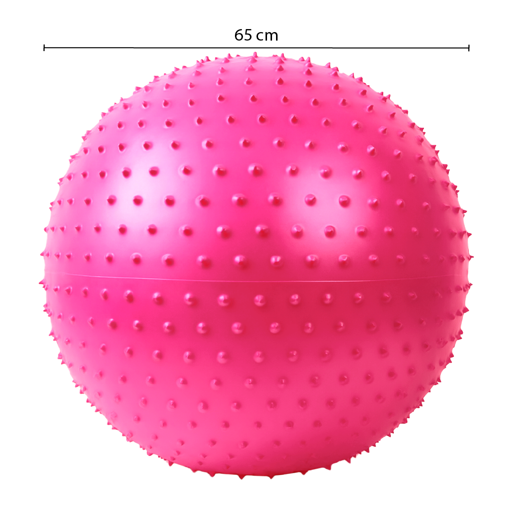 CR-603 BALON PILATES CON PUAS